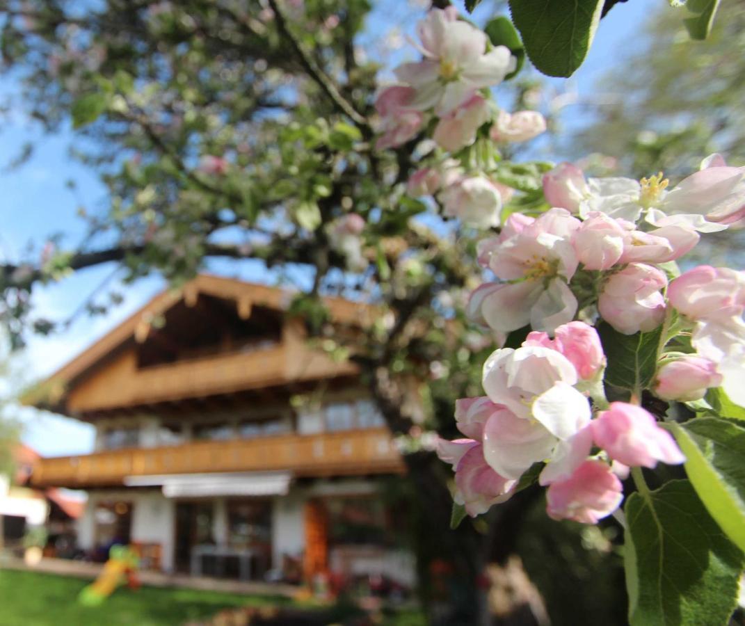 Appartementhaus Schirsner - Direkt Am See & Am Kurpark Schliersee Eksteriør billede